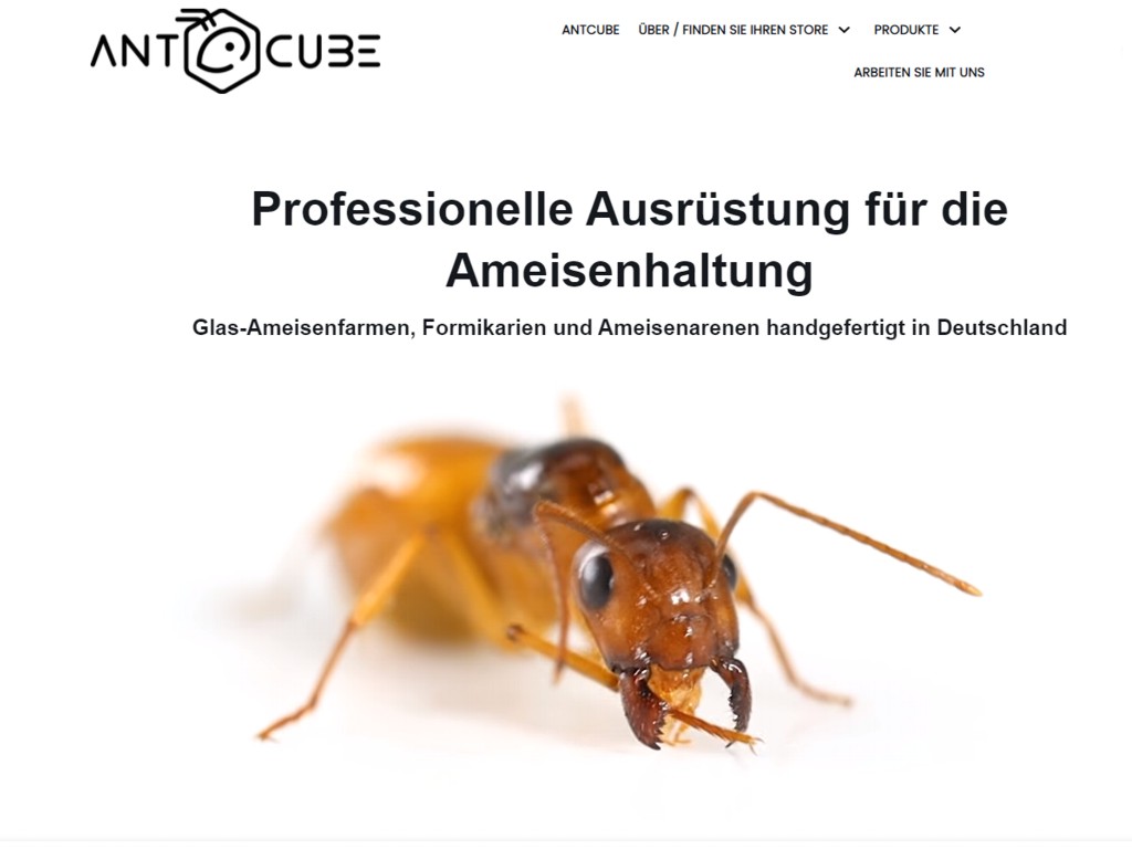 ANTCUBE